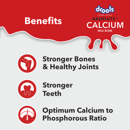 Drools Absolute Calcium Bone for Large Dogs
