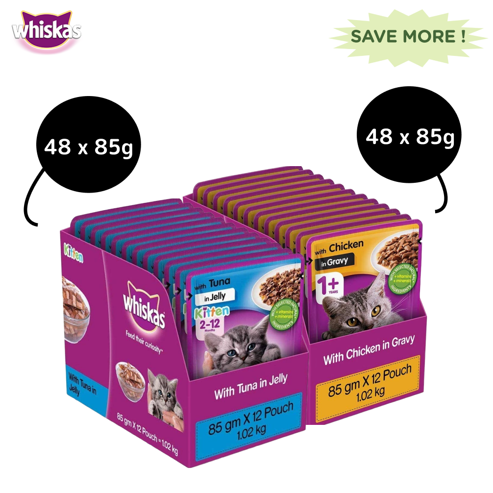 Whiskas Tuna in Jelly Kitten and Chicken Gravy Adult Cat Wet Food Combo