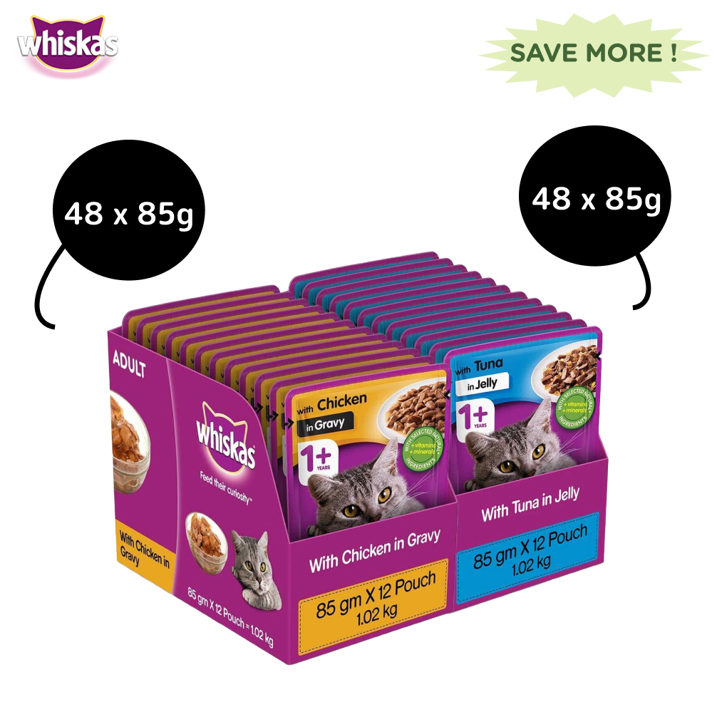 Whiskas Tuna in Jelly Meal and Chicken Gravy Adult Cat Wet Food Combo