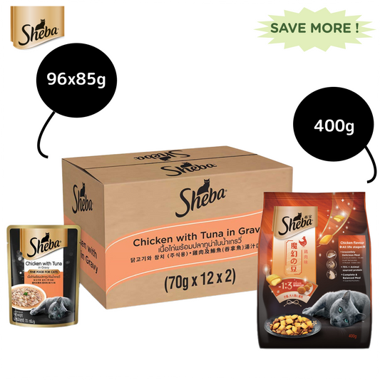 Sheba Chicken With Tuna In Gravy Premium Adult Cat Wet Food and Chicken All Life Stage Cat Dry Food Combo