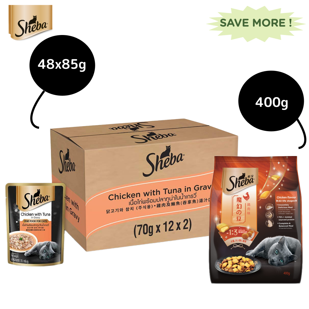 Sheba Chicken With Tuna In Gravy Premium Adult Cat Wet Food and Chicken All Life Stage Cat Dry Food Combo