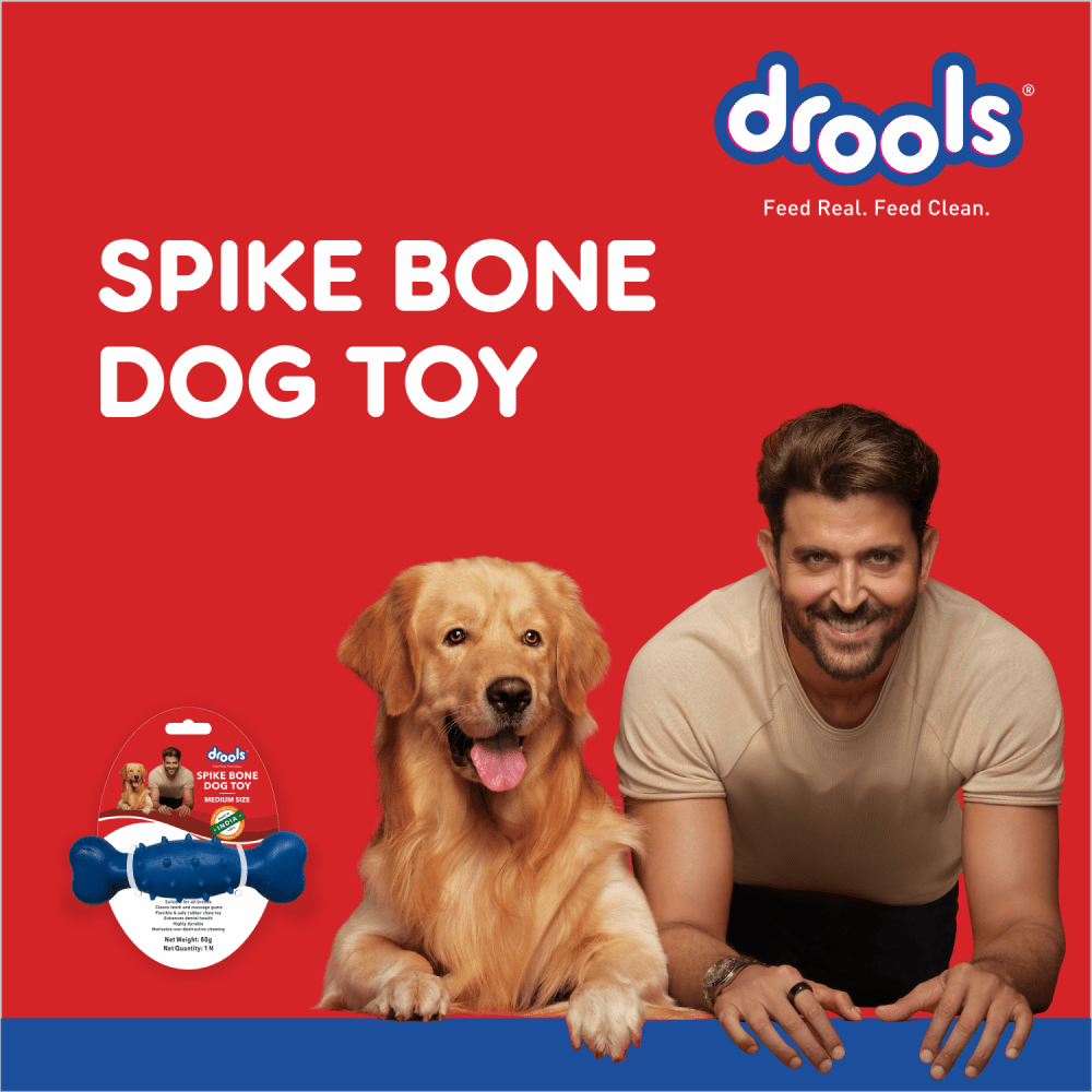 Drools Non Toxic Rubber Spike Bone Toy for Dogs