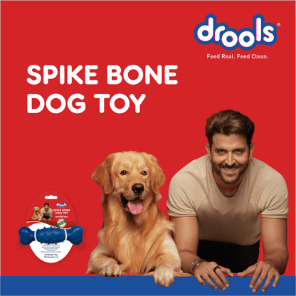 Drools Non Toxic Rubber Spike Bone Toy for Dogs