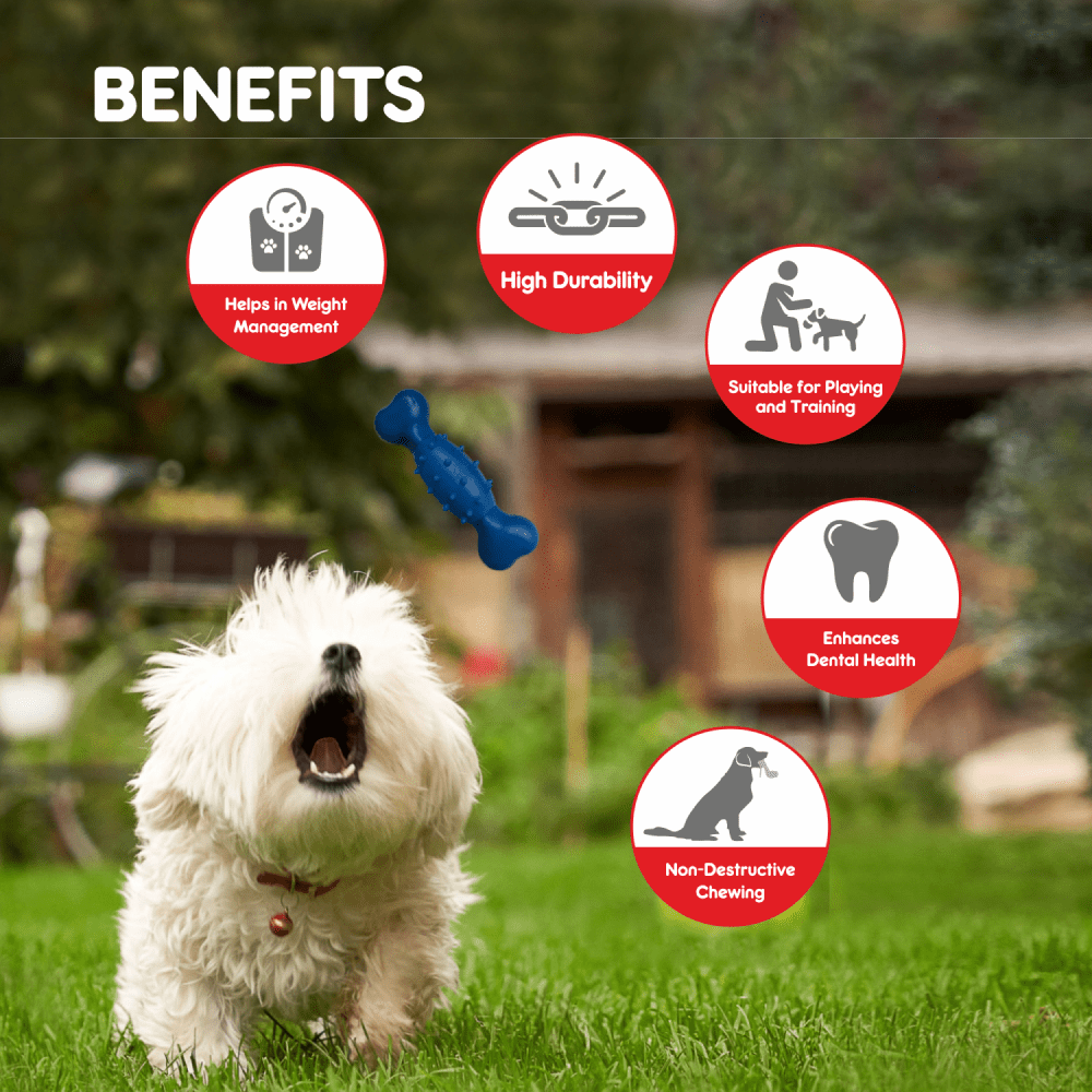 Drools Non Toxic Rubber Spike Bone Toy for Dogs