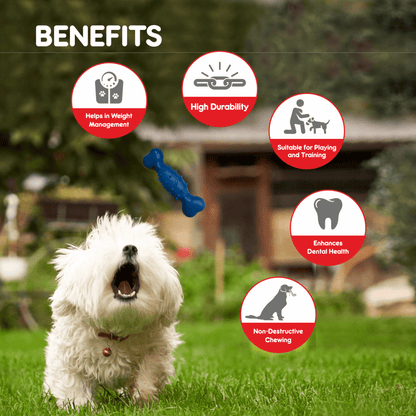 Drools Non Toxic Rubber Spike Bone Toy for Dogs