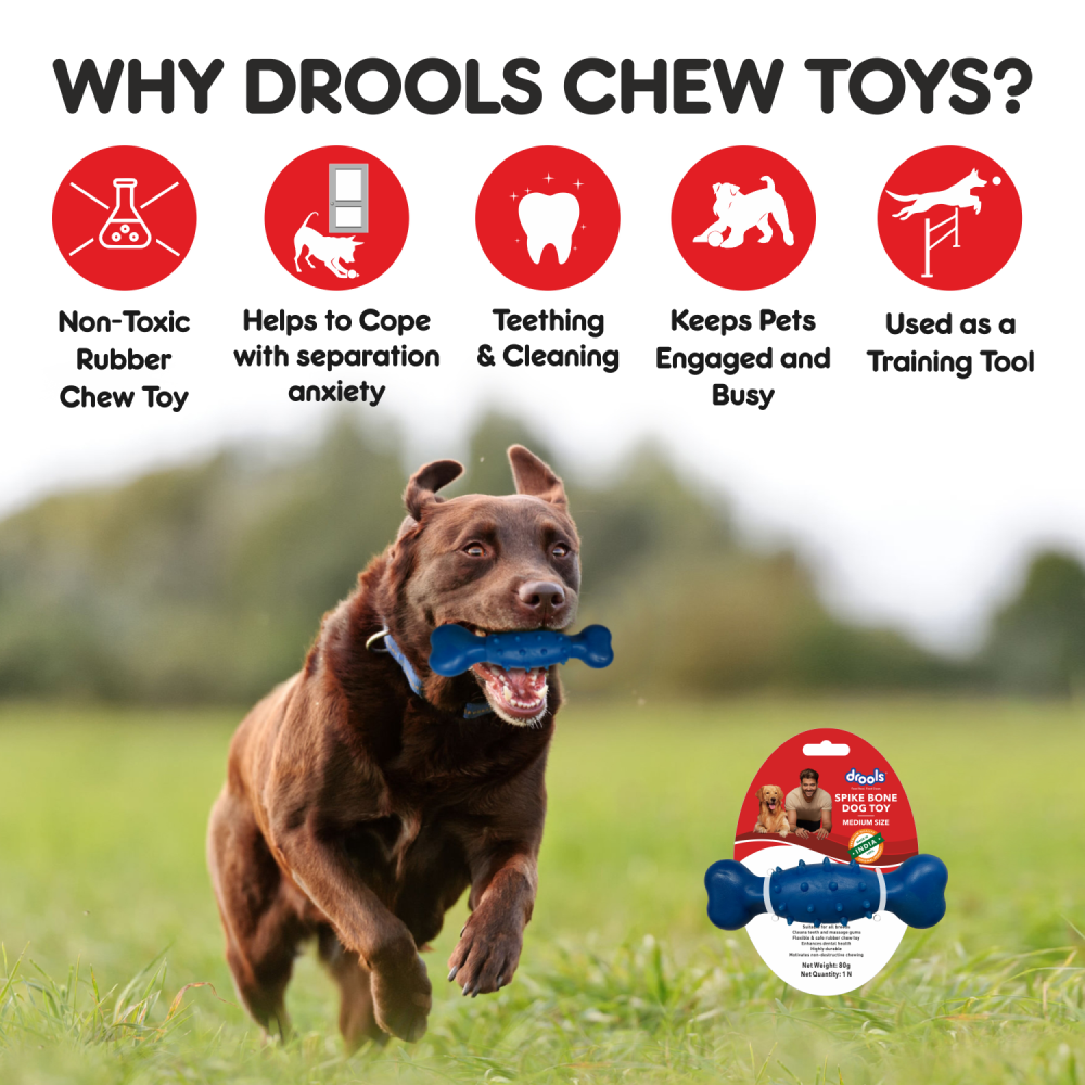 Drools Non Toxic Rubber Spike Bone Toy for Dogs