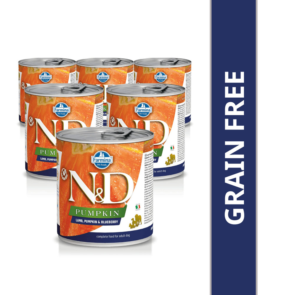 Farmina N&D Pumpkin Lamb & Blueberry Starter Puppy Wet Food