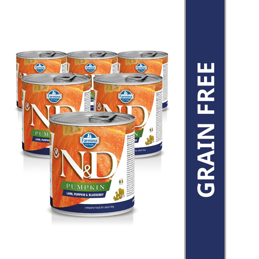 Farmina N&D Pumpkin Lamb & Blueberry Starter Puppy Wet Food