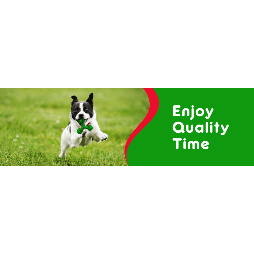 Drools Non Toxic Rubber Trio Bolt Toy for Dogs
