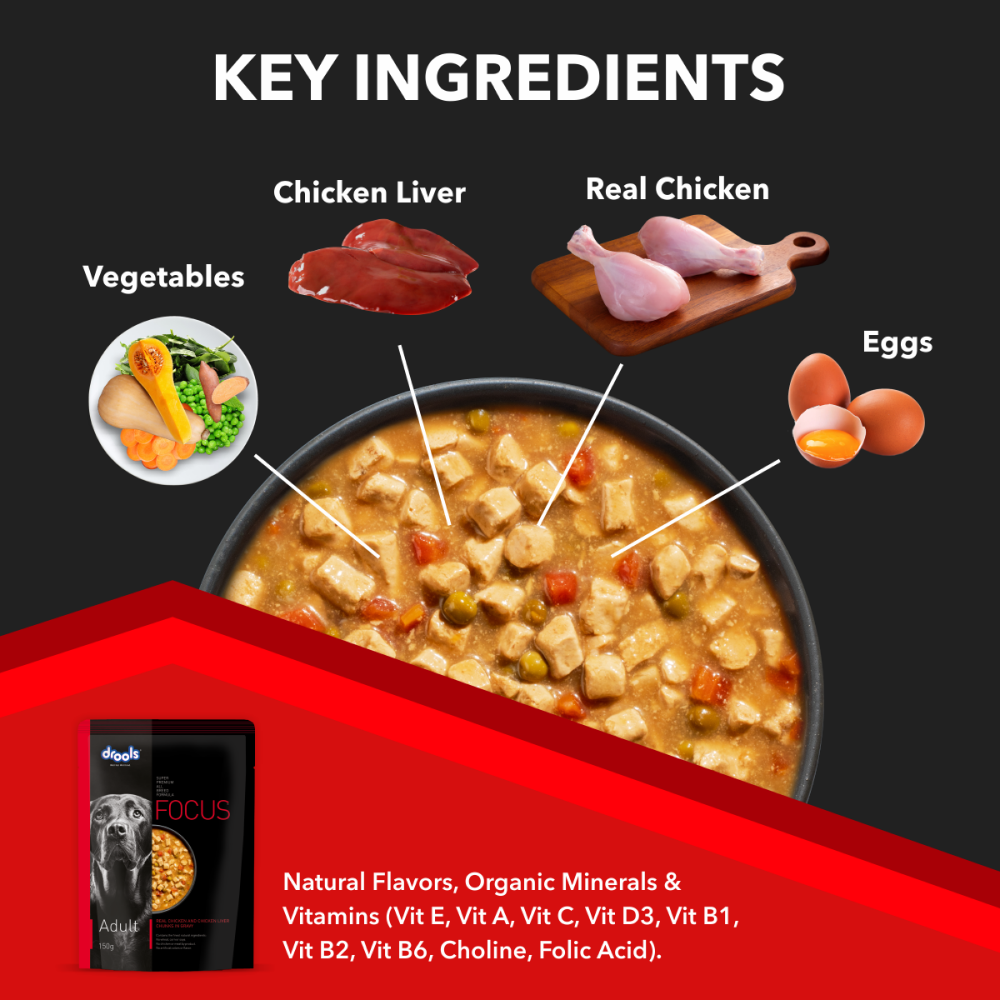Drools Focus Real Chicken & Chicken Liver Chunks in Gravy Adult Dog Wet Food