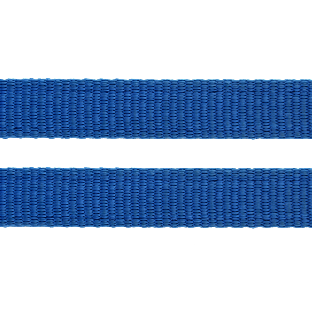 Trixie Premium Leash for Dogs (Royal Blue)