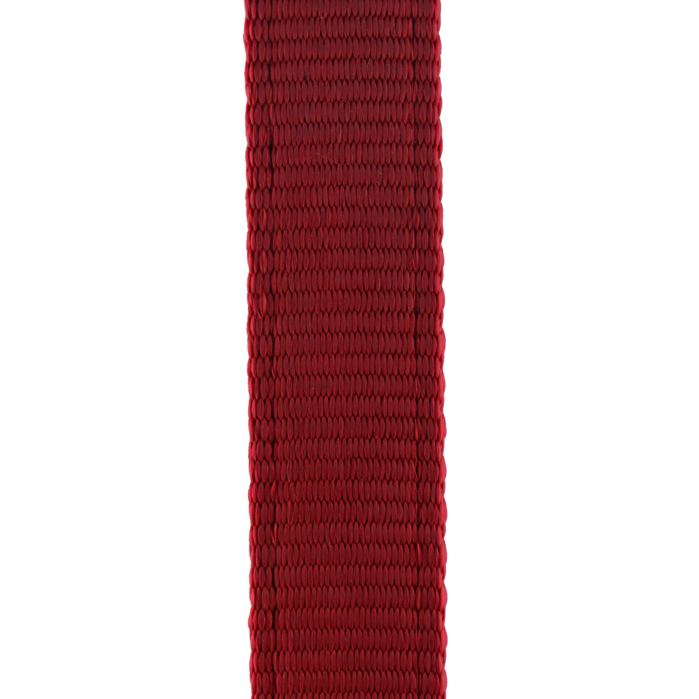Trixie Premium Leash for Dogs (Red)