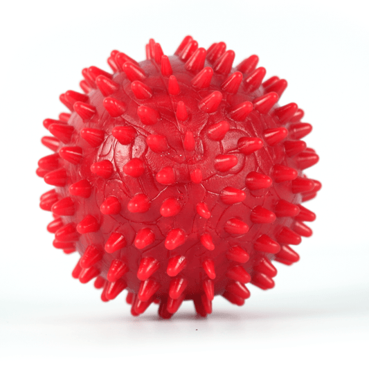 Drools Non Toxic Rubber Stud Spike Hard Ball Chew Teething Toy for Puppies and Dogs