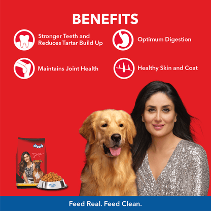 Drools Chicken & Egg Adult 5KG + Container Free