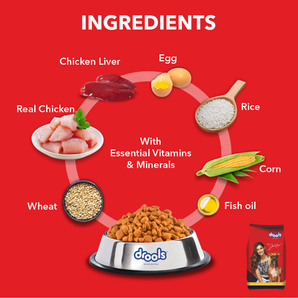 Drools Chicken & Egg Adult 5KG + Container Free