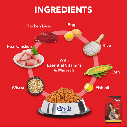 Drools Chicken & Egg Adult 5KG + Container Free