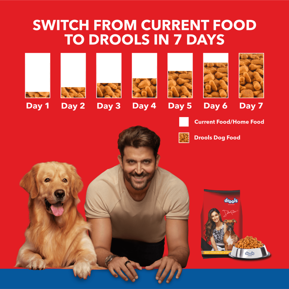 Drools Chicken & Egg Adult 5KG + Container Free