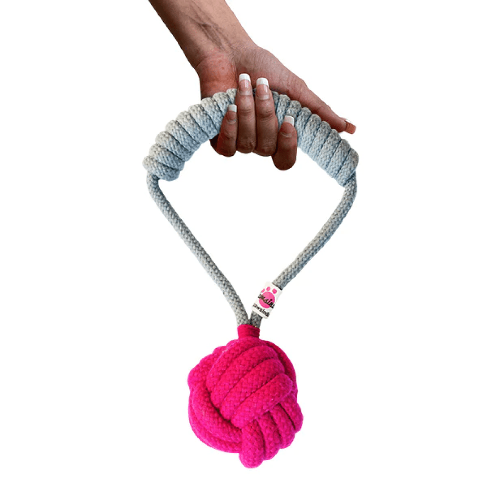 Pawsindia Tug of War Rope Toy for Dogs (Grey)