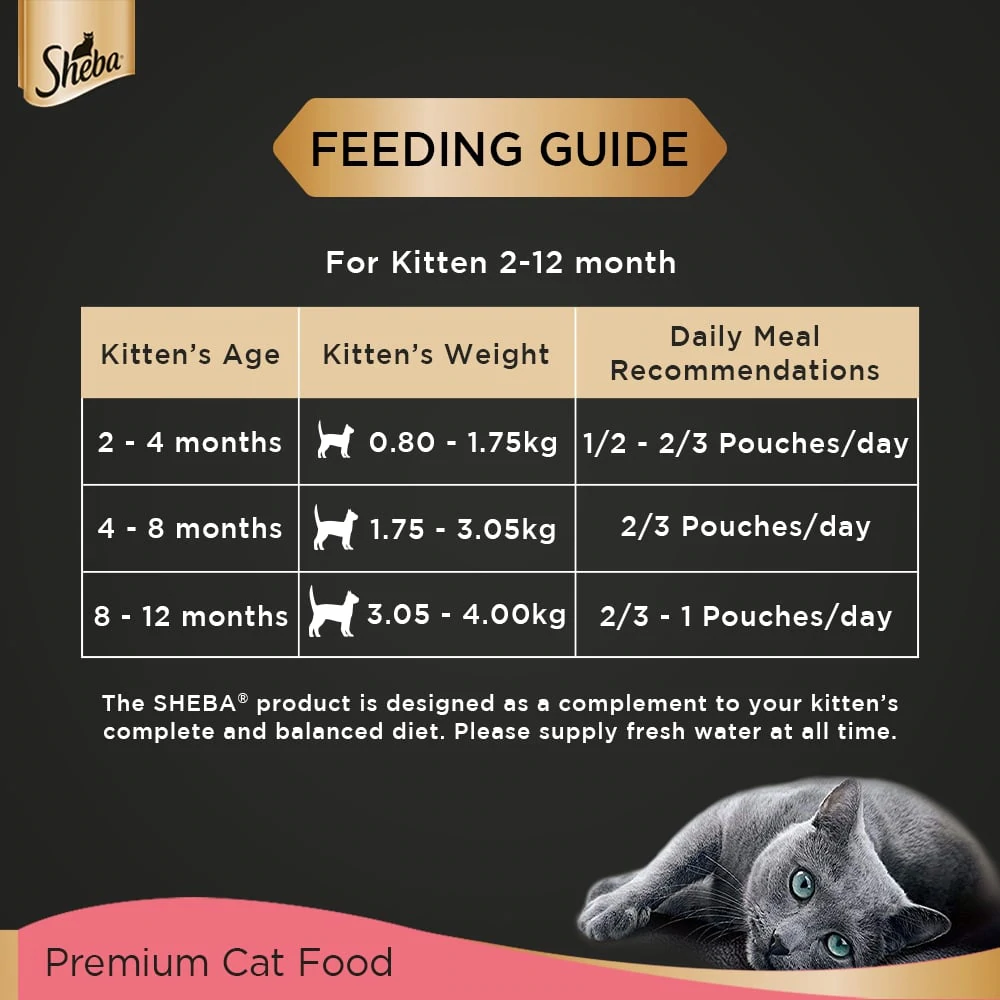 Sheba Chicken Loaf Rich Premium Kitten (2 to 12 Months) Fine Cat Wet Food