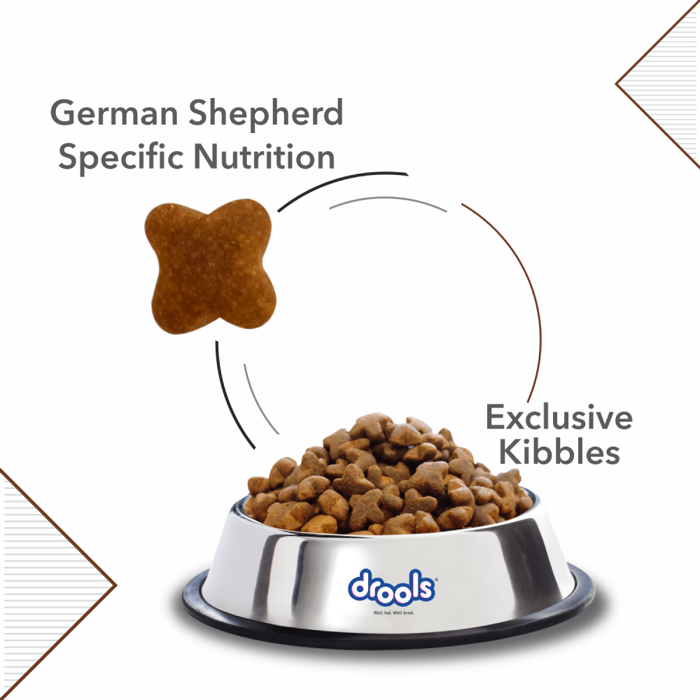 Drools German Shepherd Adult Premium Dog Dry Food