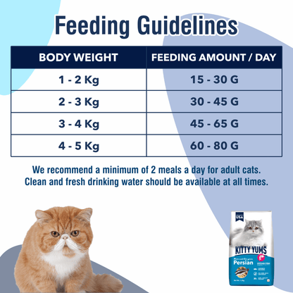 Kitty Yums Ocean Fish Persian 7Kg