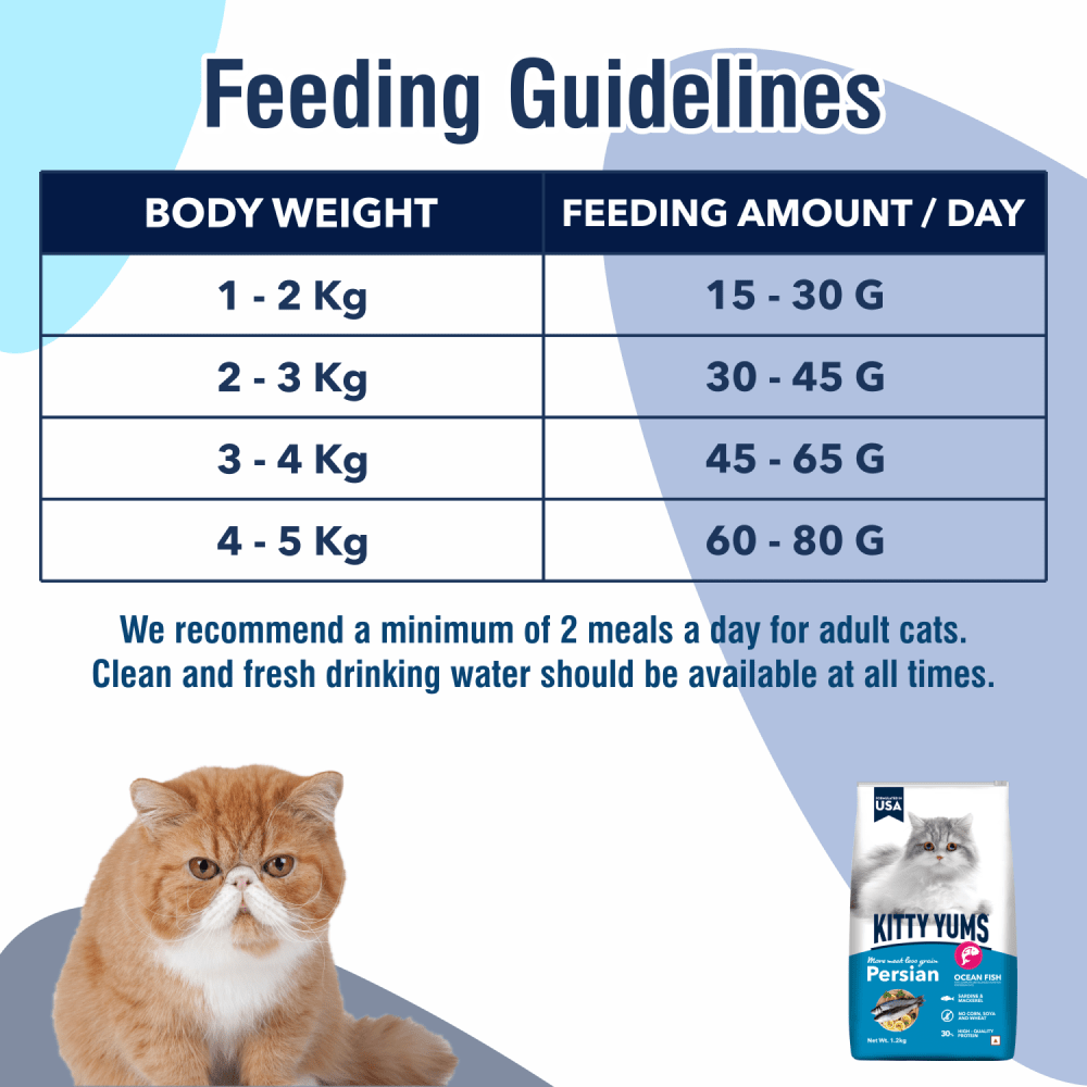 Kitty Yums Ocean Fish Persian 3Kg