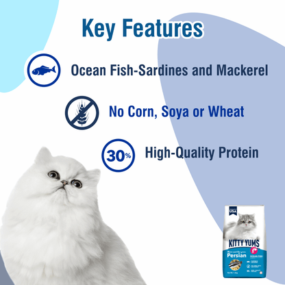 Kitty Yums Ocean Fish Persian 3Kg
