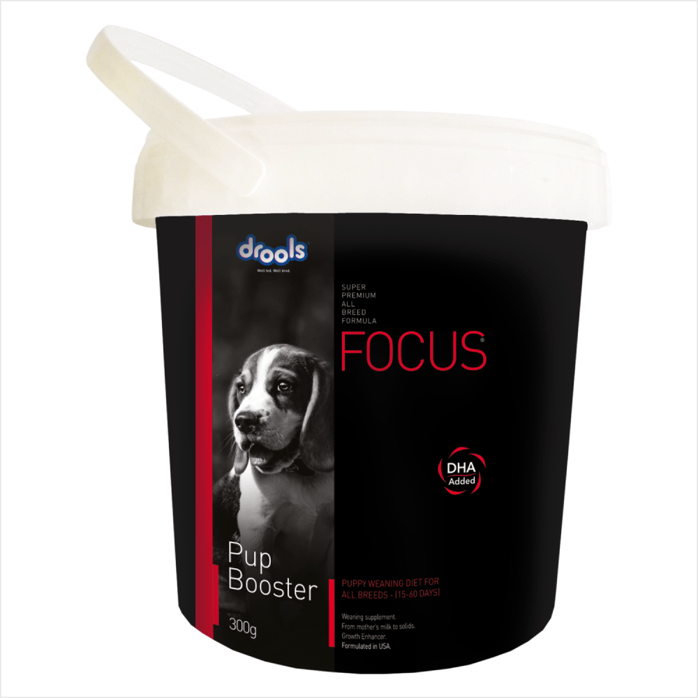 Drools Focus Pup Booster Puppy Weaning Diet for All Breeds (300g)
