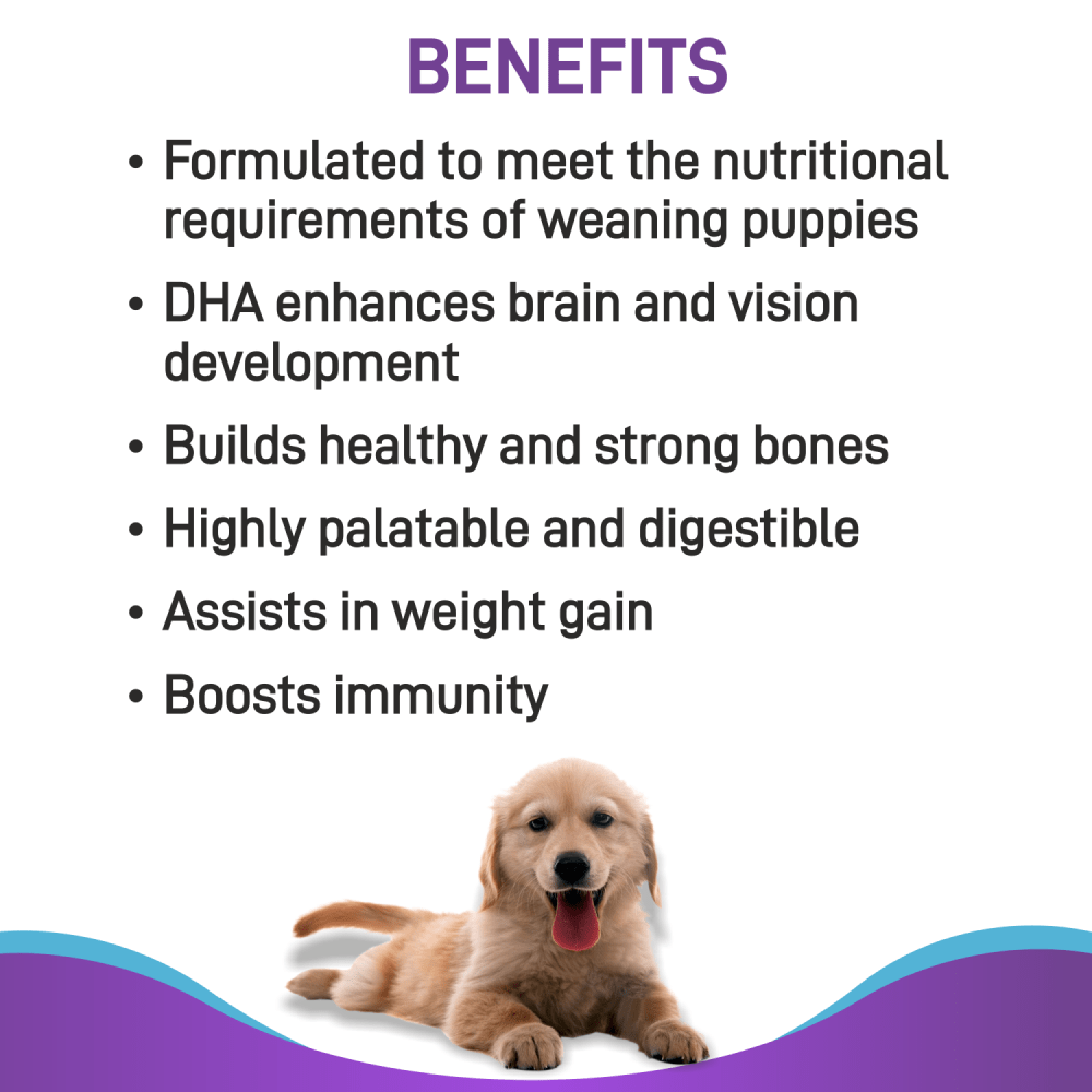 Canine Creek Pup Booster Puppy Weaning Diet for All Breeds
