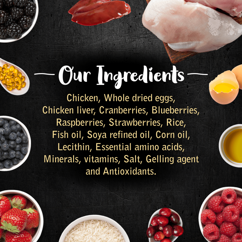 Drools Gourmet Bites Vikas Khanna Recipe Very Berry Chicken Puppy Wet Food