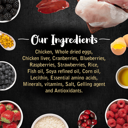 Drools Gourmet Bites Vikas Khanna Recipe Very Berry Chicken Puppy Wet Food