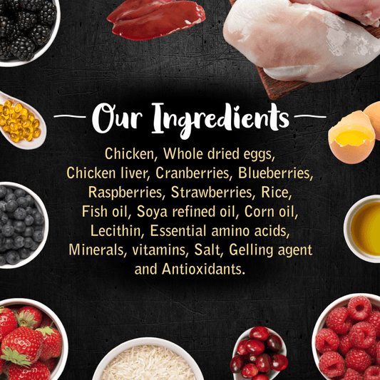 Drools Gourmet Bites Vikas Khanna Recipe Very Berry Chicken Puppy Wet Food