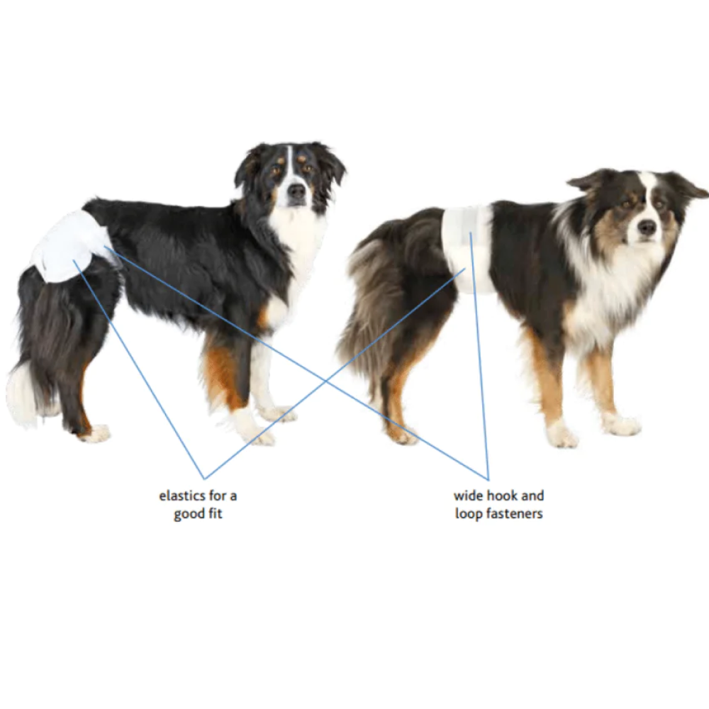 Trixie Diapers for Male Dogs (12pcs)