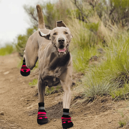 Pawsindia Walkers For Dogs (Pink)