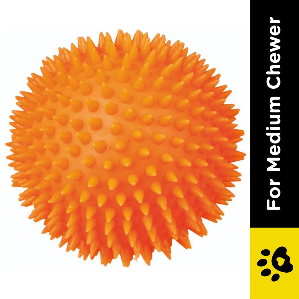 Trixie Hedgehog Ball Vinyl Toy for Dogs (Assorted)