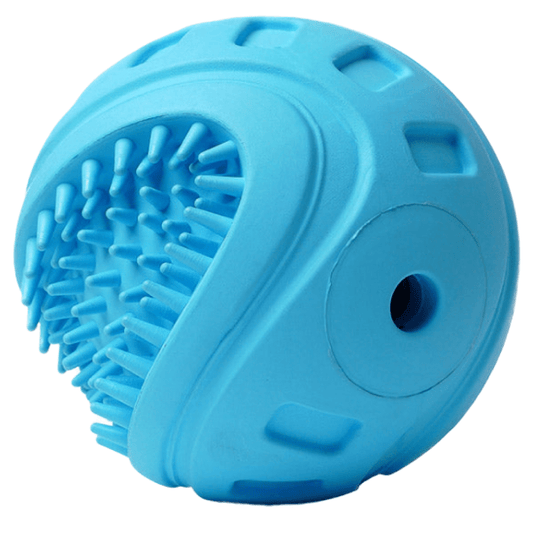 Pawsindia Brush Ball Teeth Cleaning Toy for Dogs
