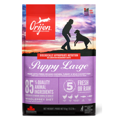 Orijen Large Puppy 6Kg