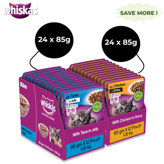 Whiskas Tuna in Jelly and Chicken in Gravy Meal Kitten Wet Food Combo