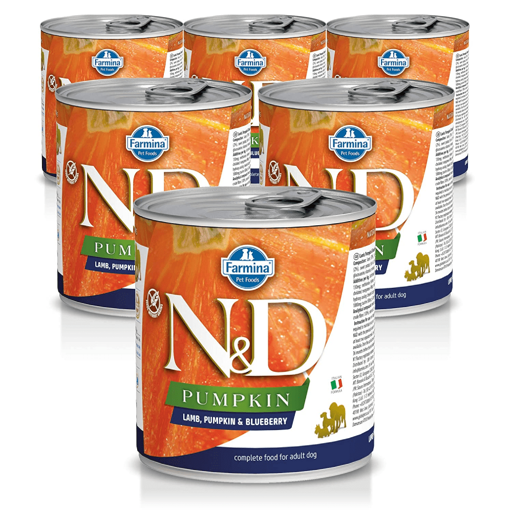 Farmina N&D Pumpkin Lamb & Blueberry Starter Puppy Wet Food