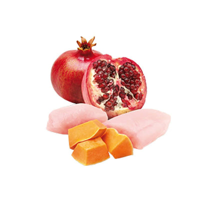 Farmina N&D Prime Pumpkin Chicken & Pomegranate Grain Free Adult Dog Wet Food