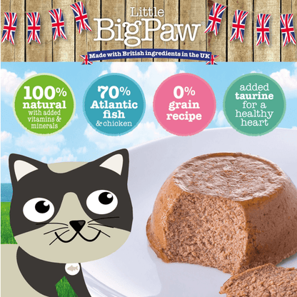 Little Big Paw Gourmet Seafood Mix Cat Wet Food