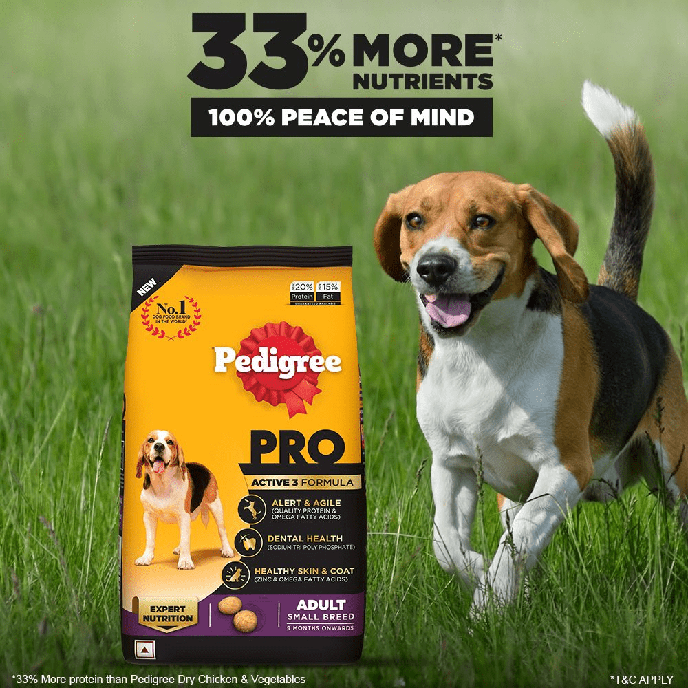 Pedigree PRO Expert Nutrition Adult Dry Dog Food for Small Breed