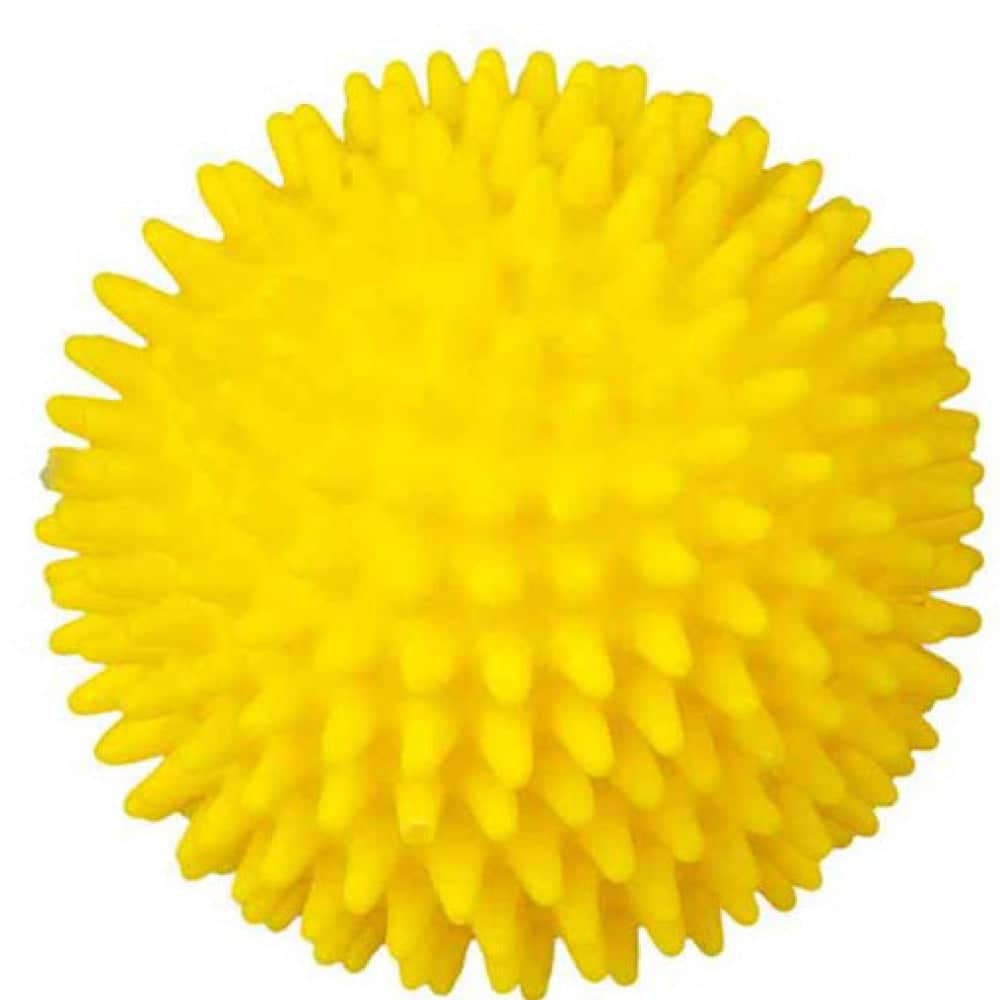 Trixie Hedgehog Ball Vinyl Toy for Dogs (Assorted)