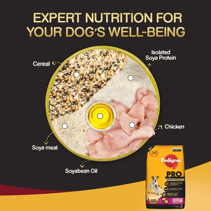 Pedigree PRO Expert Nutrition Lactating/Pregnant Mother & Puppy Starter Small Breed Dry and Chicken Chunks in Gravy Puppy Wet Food Combo