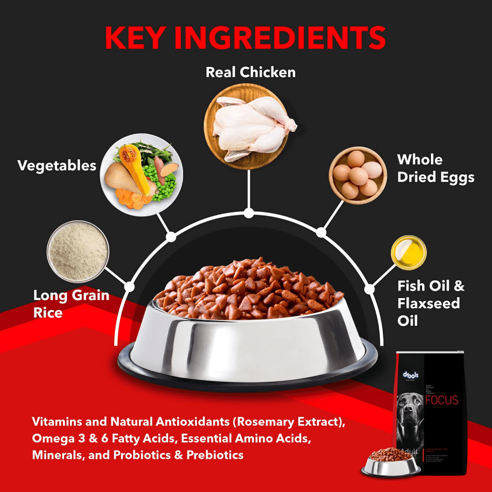 Drools Focus Super Premium Adult Dry Dog Food
