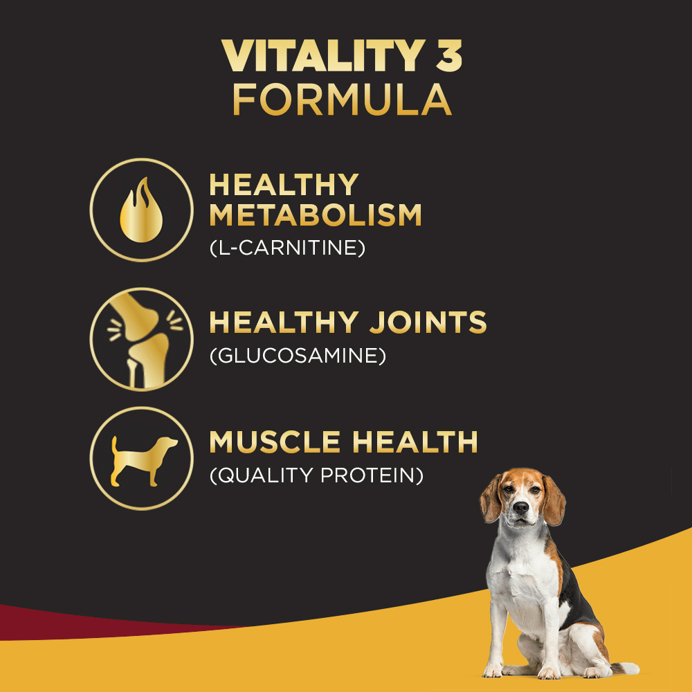 Pedigree PRO Expert Nutrition Senior(7+ Years) Adult Dog Dry Food