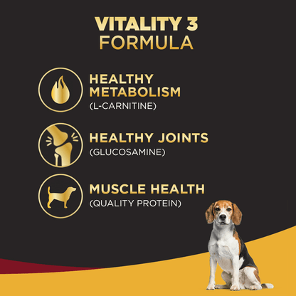 Pedigree PRO Expert Nutrition Senior(7+ Years) Adult Dog Dry Food