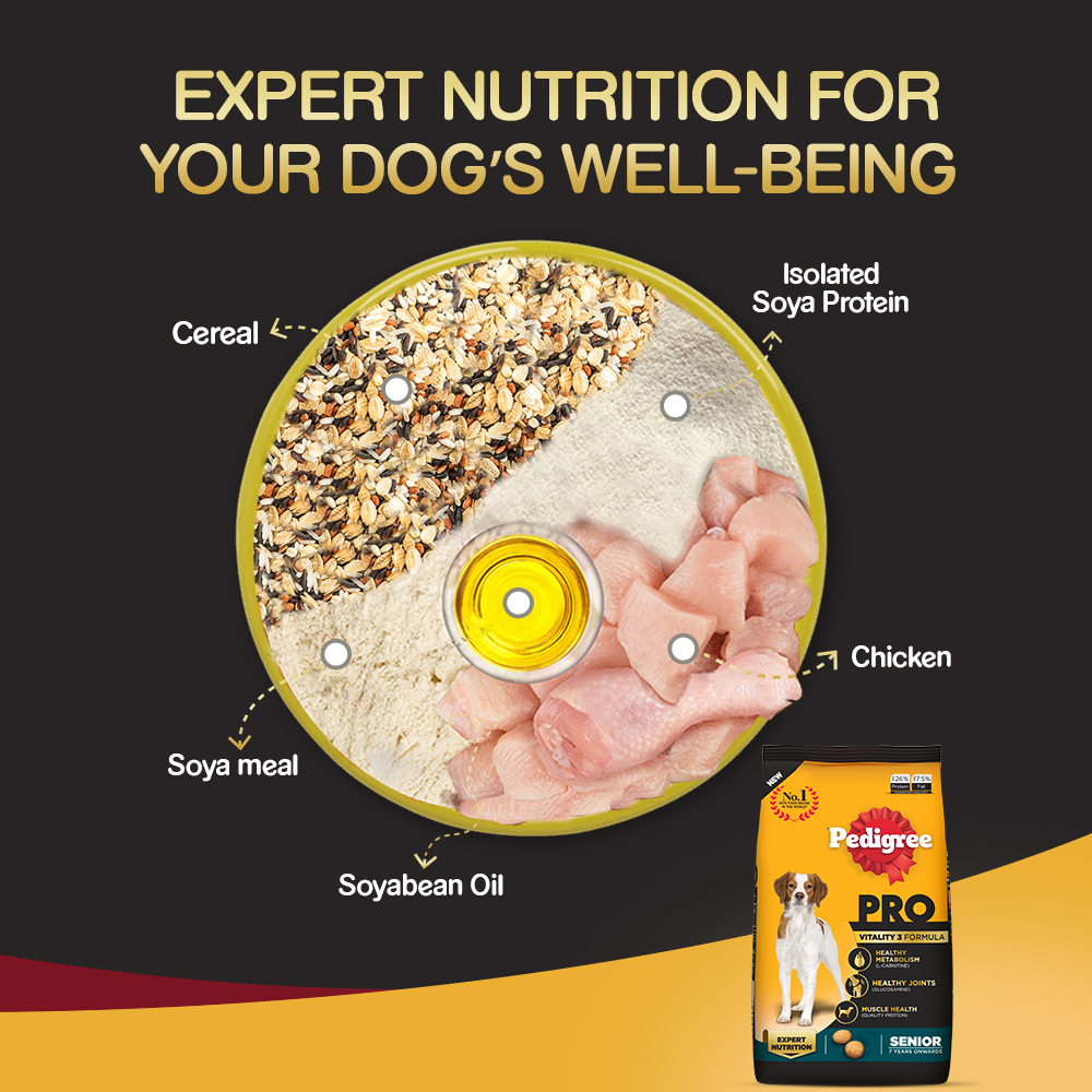 Pedigree PRO Expert Nutrition Senior(7+ Years) Adult Dog Dry Food