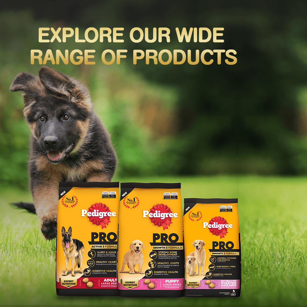Pedigree PRO Expert Nutrition Senior(7+ Years) Adult Dog Dry Food