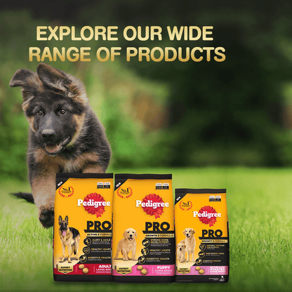 Pedigree PRO Expert Nutrition Senior(7+ Years) Adult Dog Dry Food